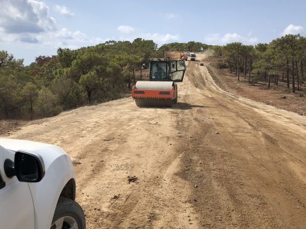Cost of Driveway Grading in Richmond